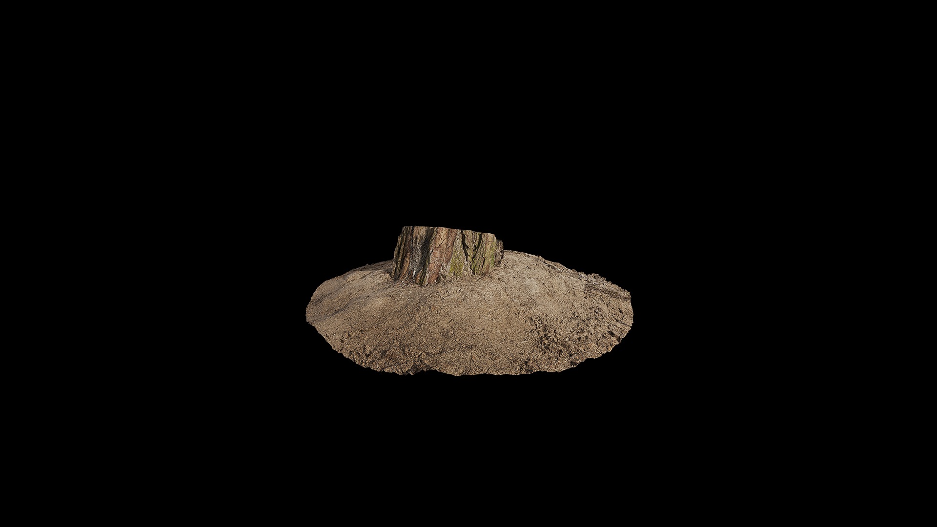 Anydrafts Stump 03 Low-poly 3D model_4