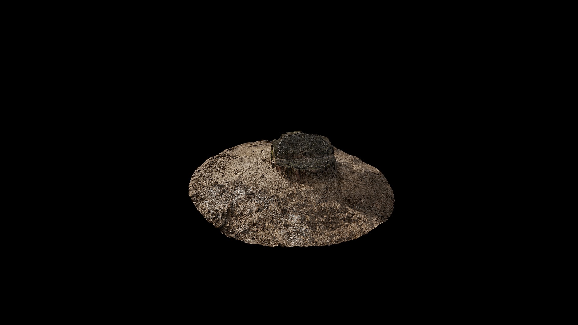Anydrafts Stump 03 Low-poly 3D model_6