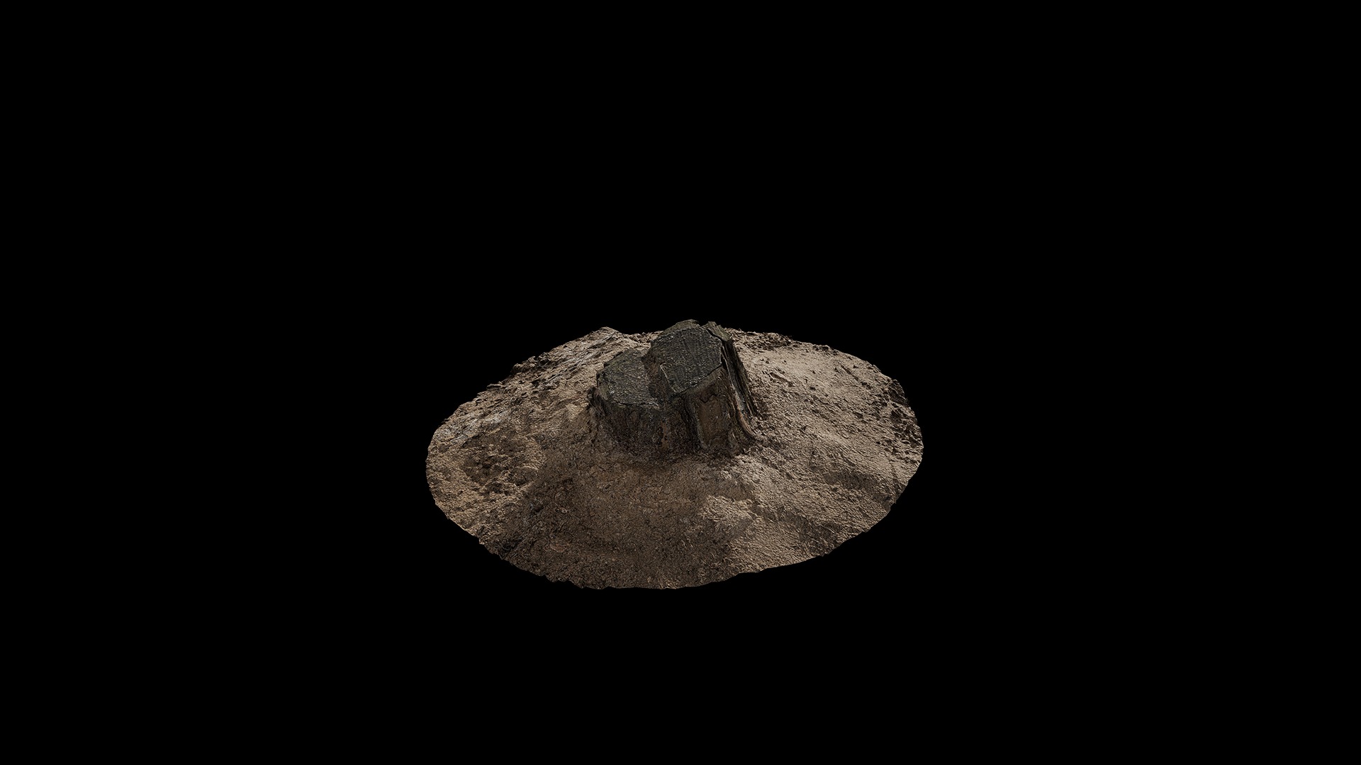 Anydrafts Stump 03 Low-poly 3D model_2