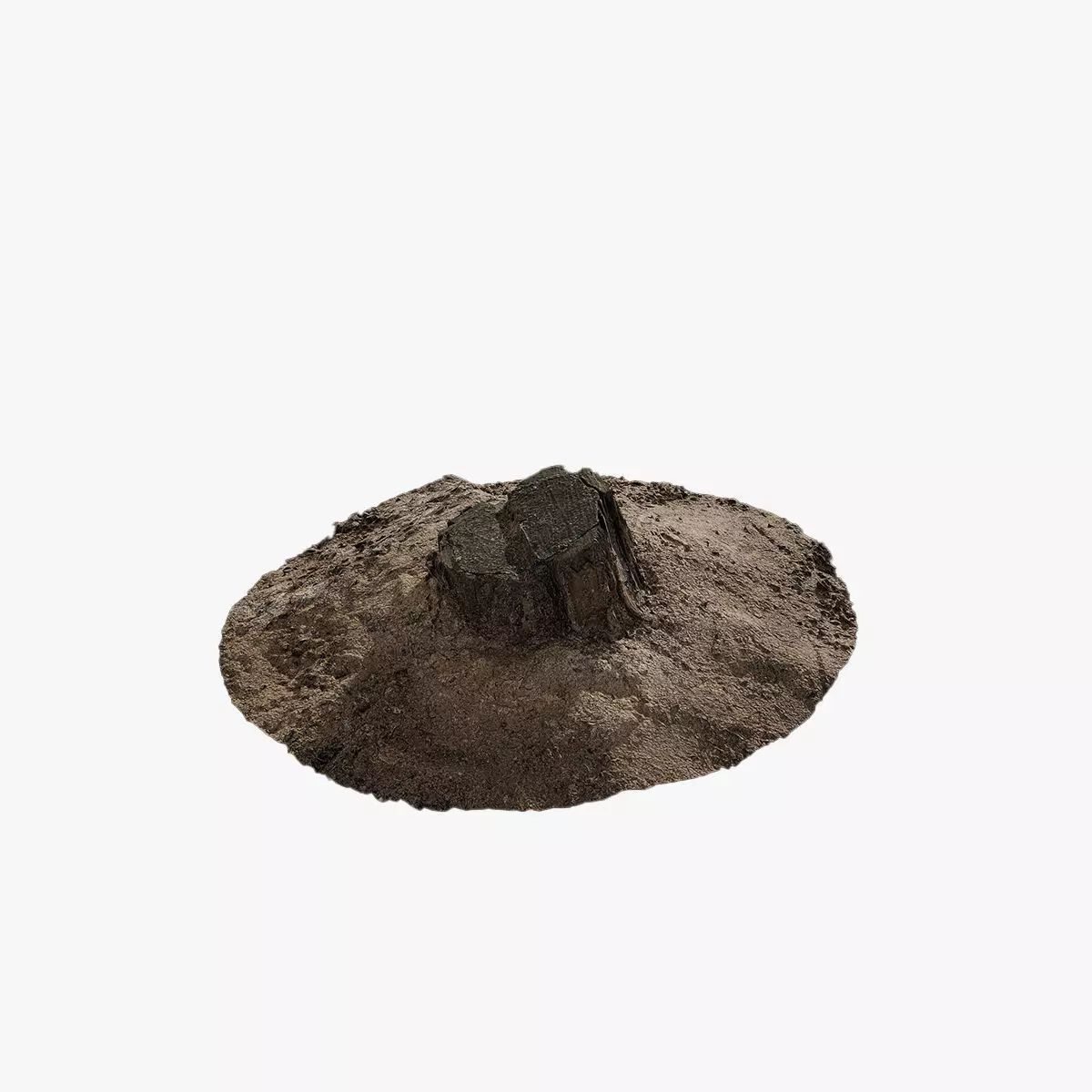 Anydrafts Stump 03 Low-poly 3D model_0