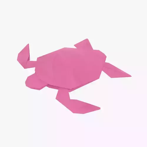 Origami Turtle