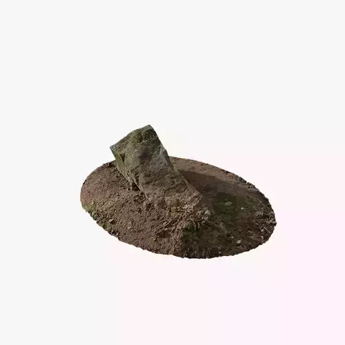 Anydrafts Mossy stone 01