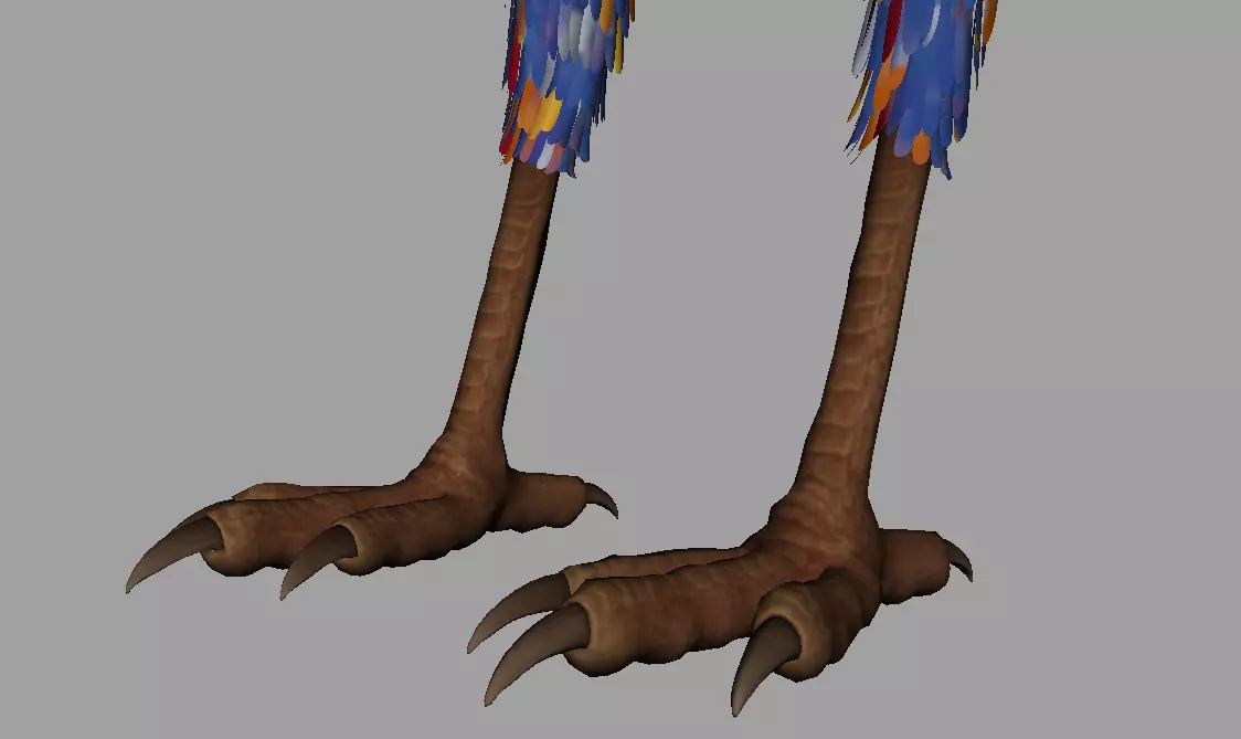 Phoenix 3D model_7