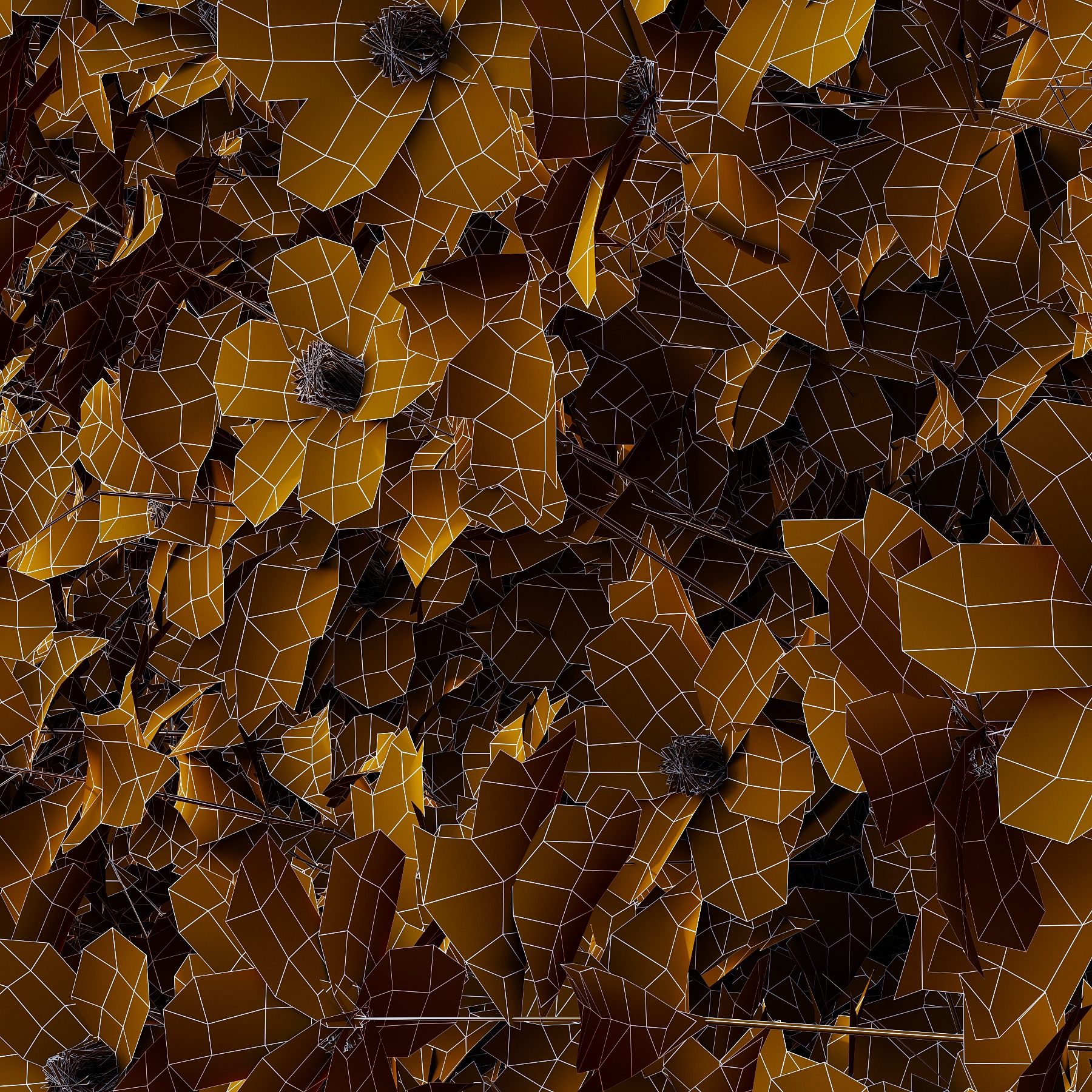 romneya coulter Plant 05 3D model_3