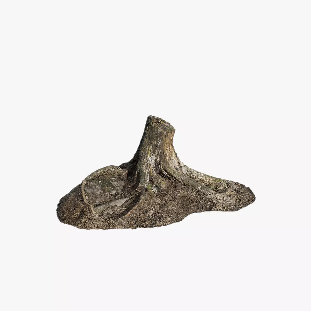 Anydrafts Stump 13 Low-poly 3D model