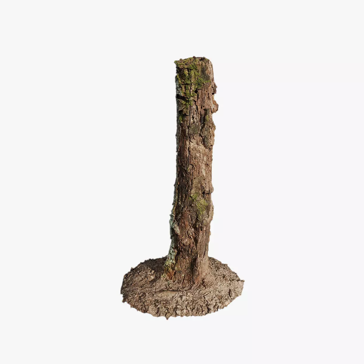 Anydrafts Stump 14 Low-poly 3D model