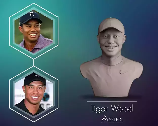 Tiger Woods Bust 