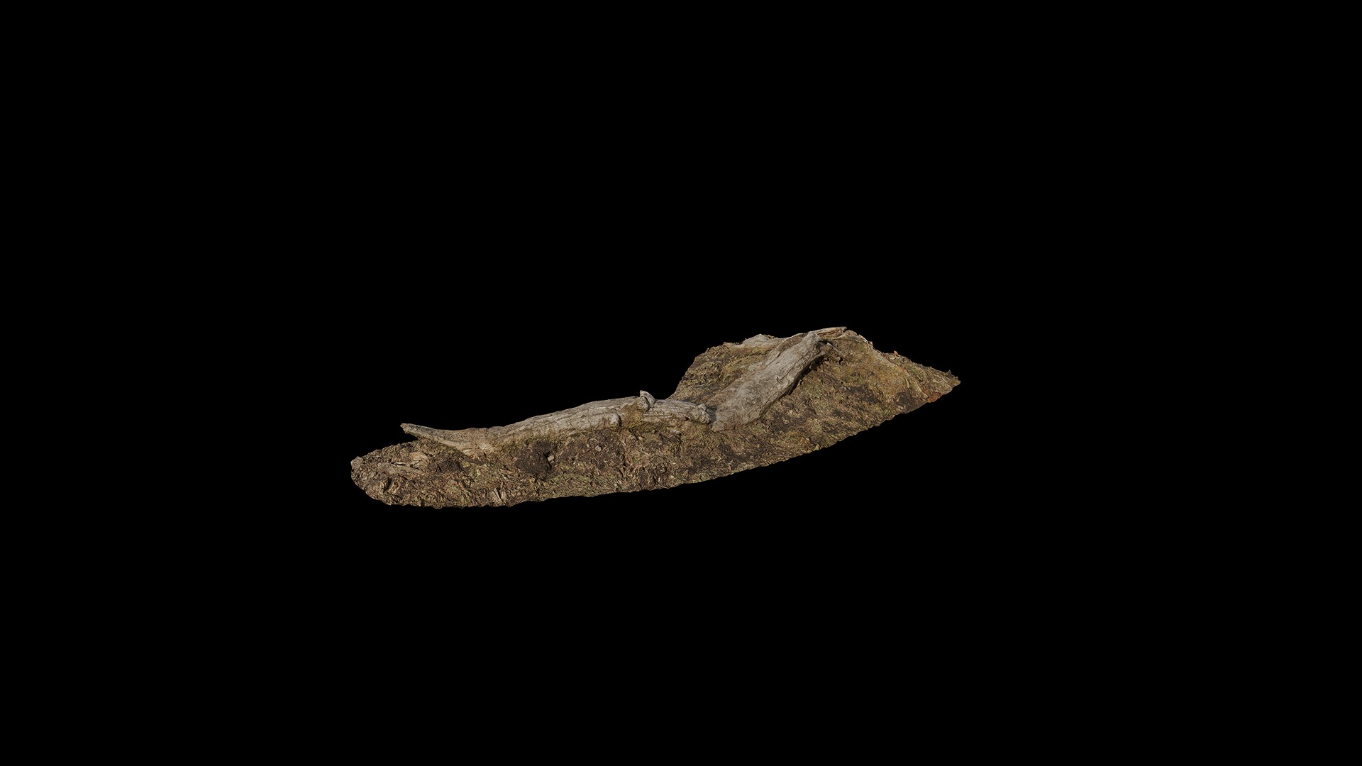 Anydrafts Stump 23 Low-poly 3D model_7