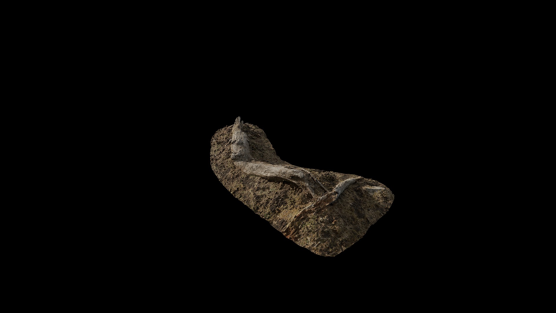 Anydrafts Stump 23 Low-poly 3D model_6