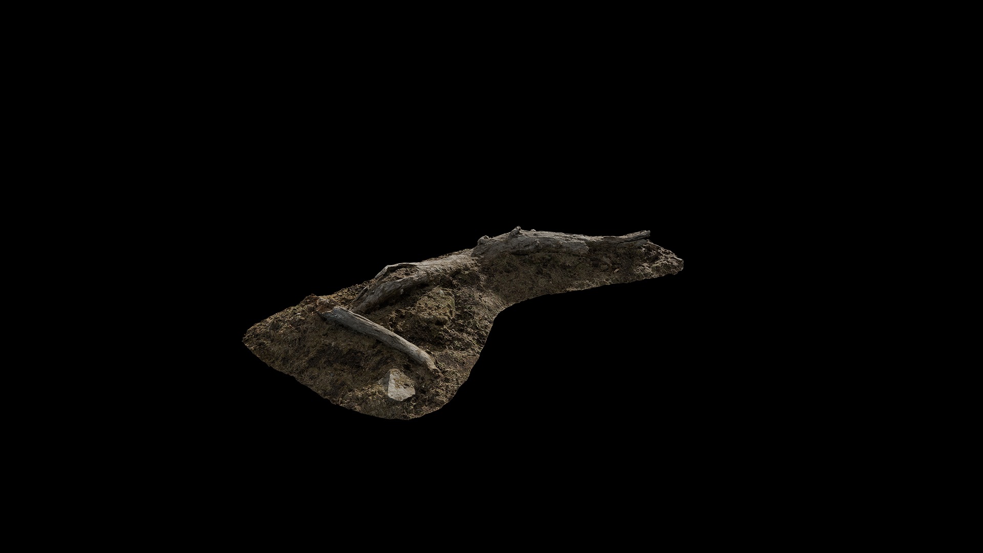 Anydrafts Stump 23 Low-poly 3D model_2