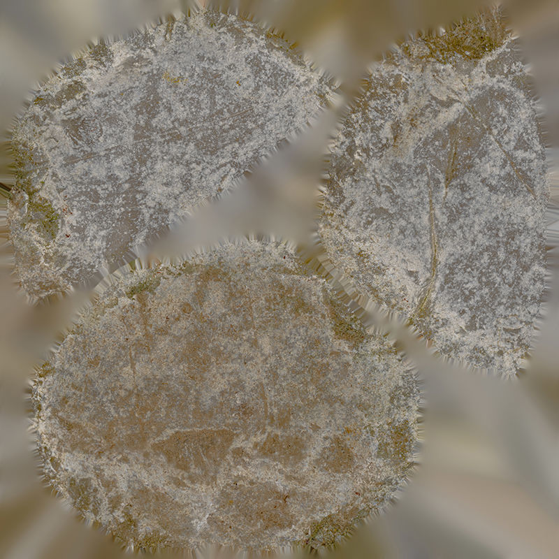 Anydrafts Stone 28 Low-poly 3D model_8