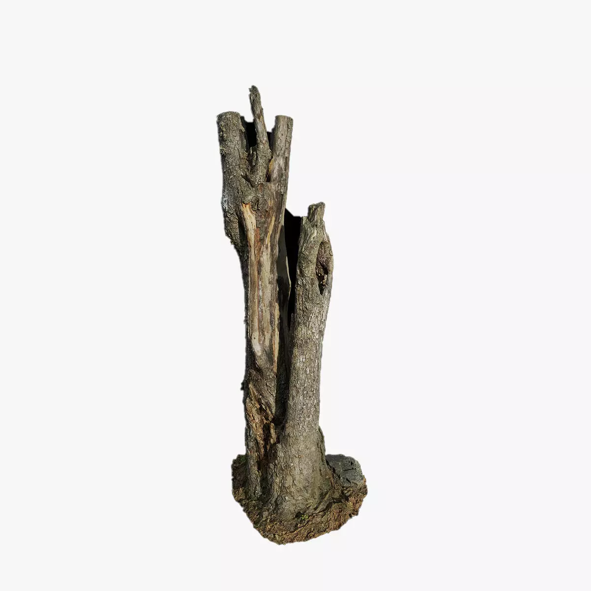 Anydrafts Stump 44 Low-poly 3D model