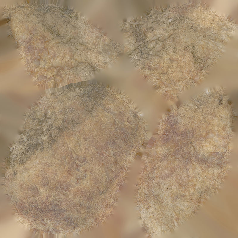 Anydrafts Stone 39 Low-poly 3D model_8