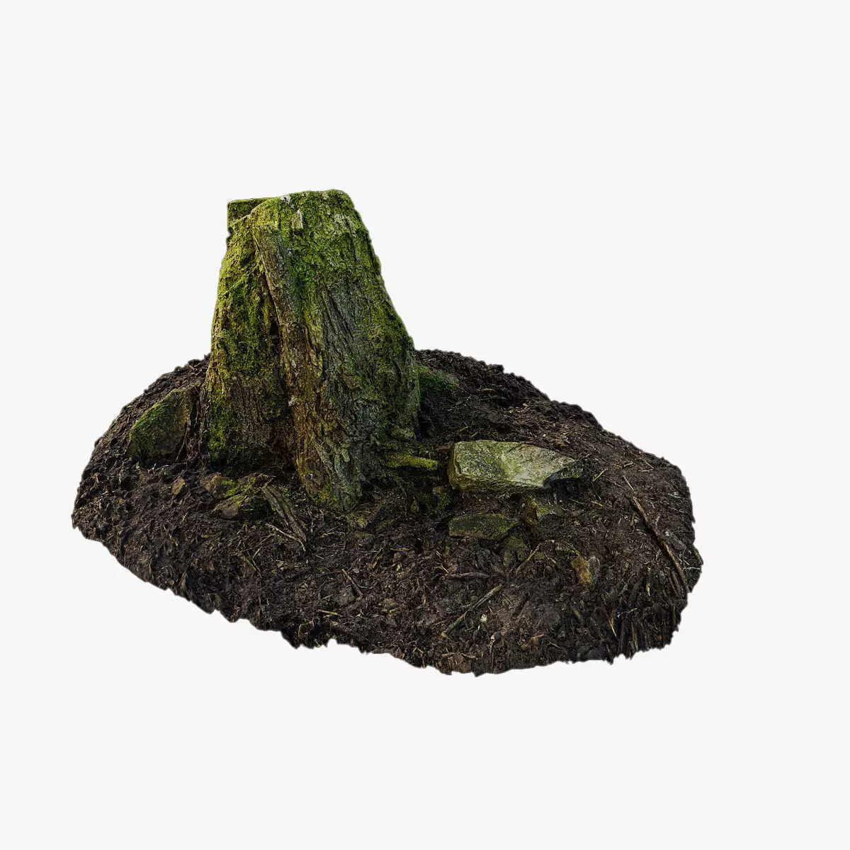 Anydrafts Stump 46 Low-poly 3D model_0