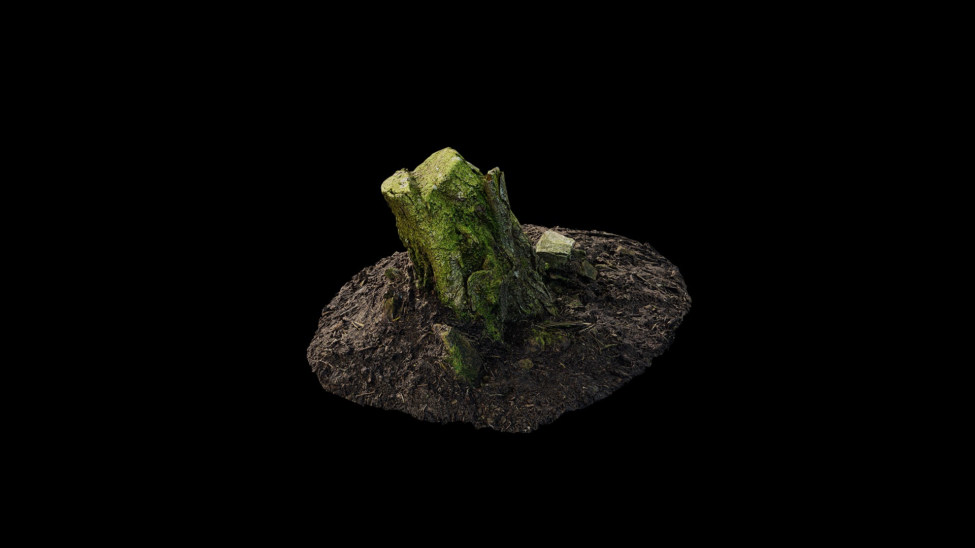 Anydrafts Stump 46 Low-poly 3D model_6