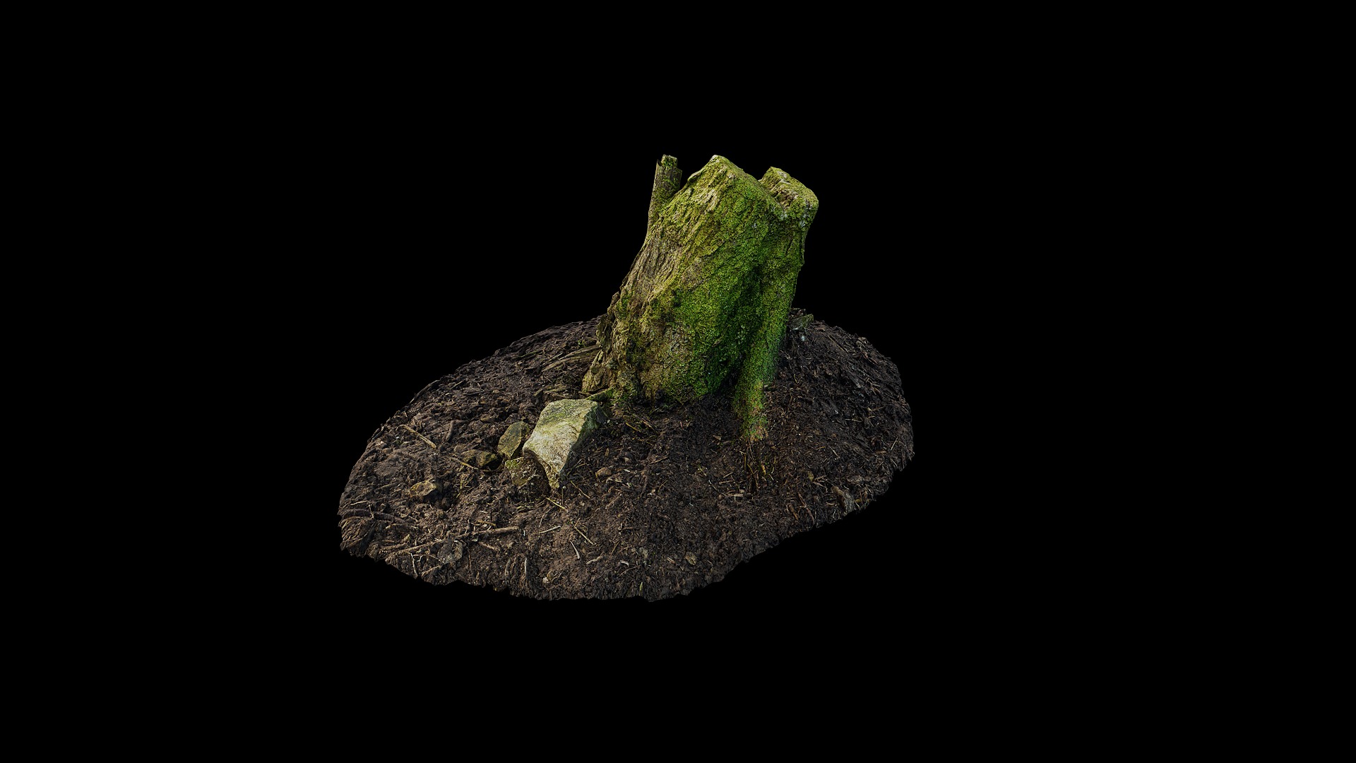 Anydrafts Stump 46 Low-poly 3D model_4