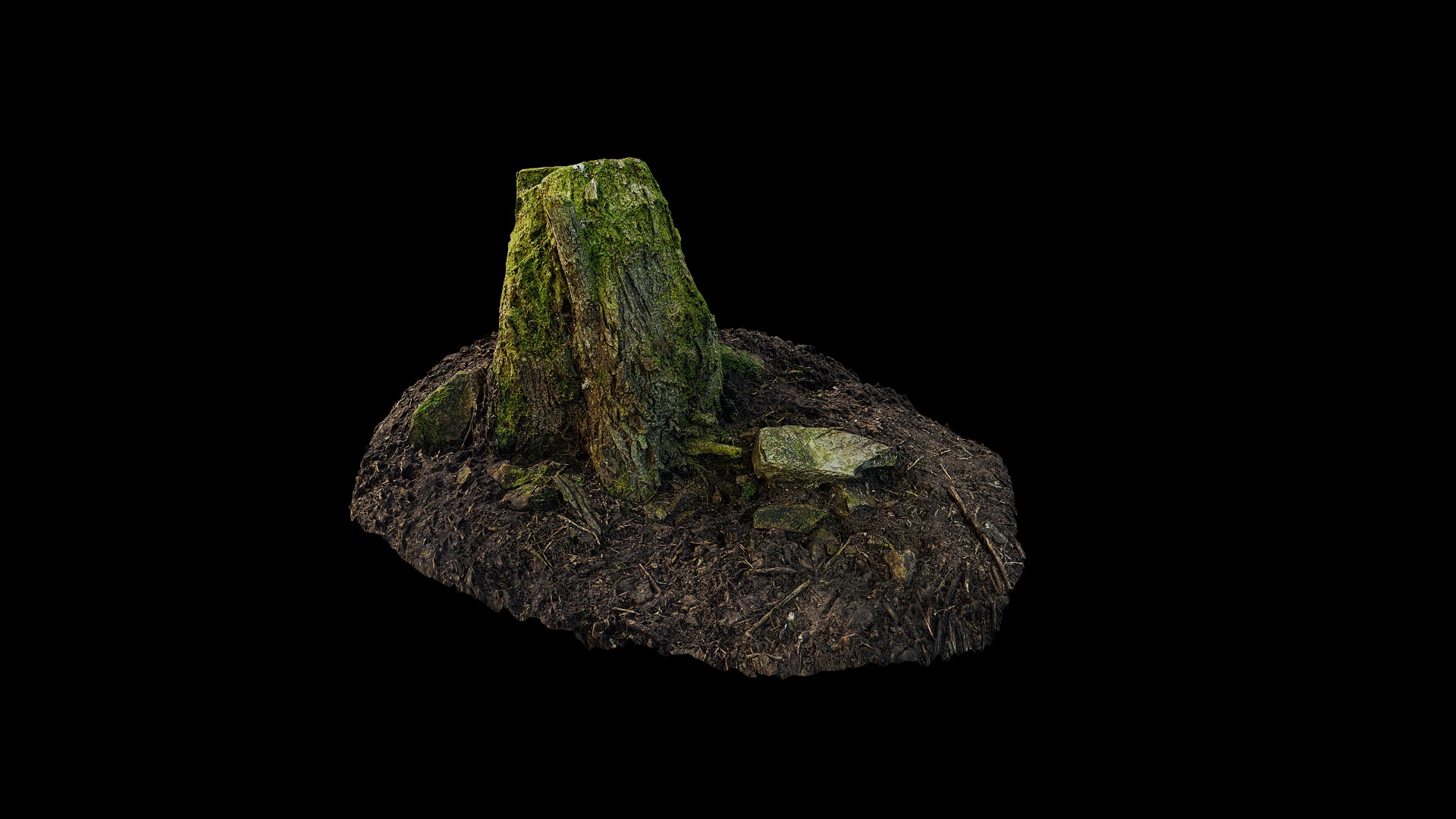 Anydrafts Stump 46 Low-poly 3D model_2
