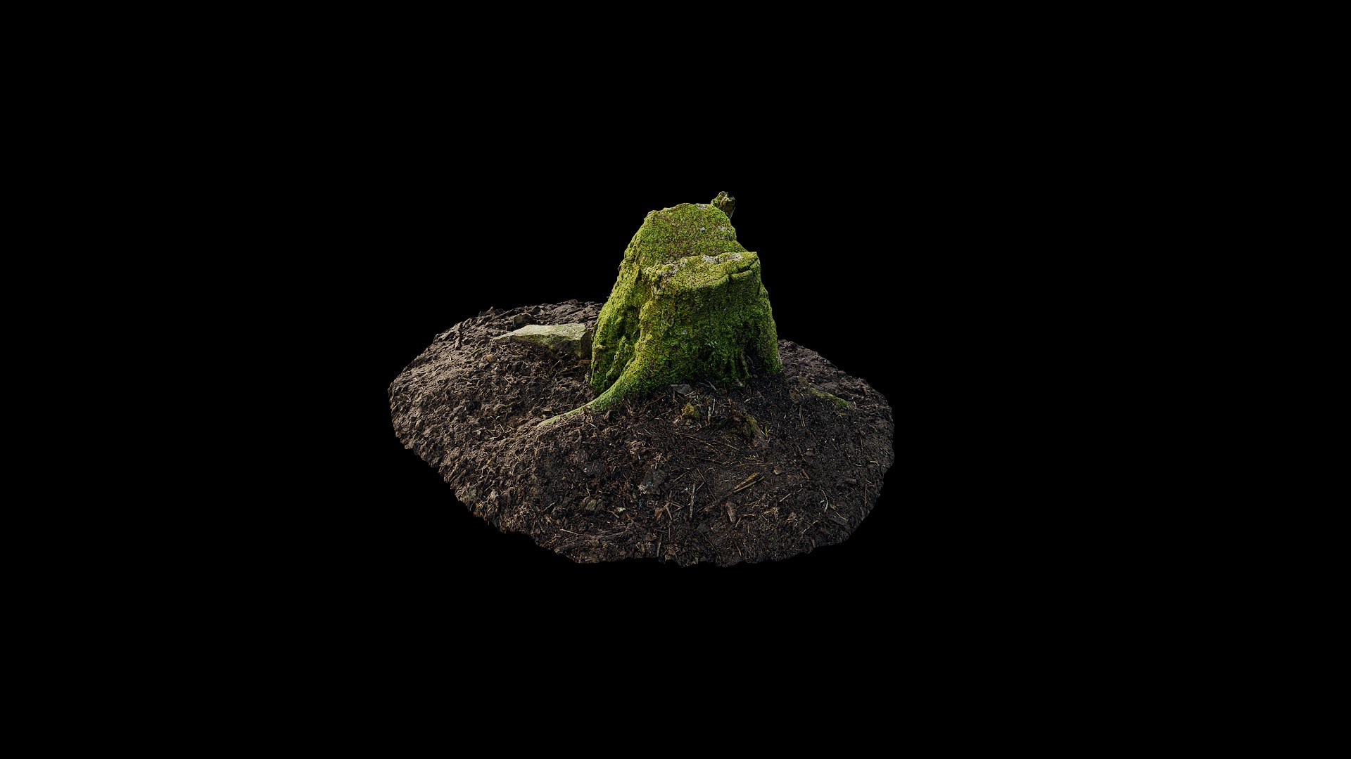 Anydrafts Stump 46 Low-poly 3D model_5