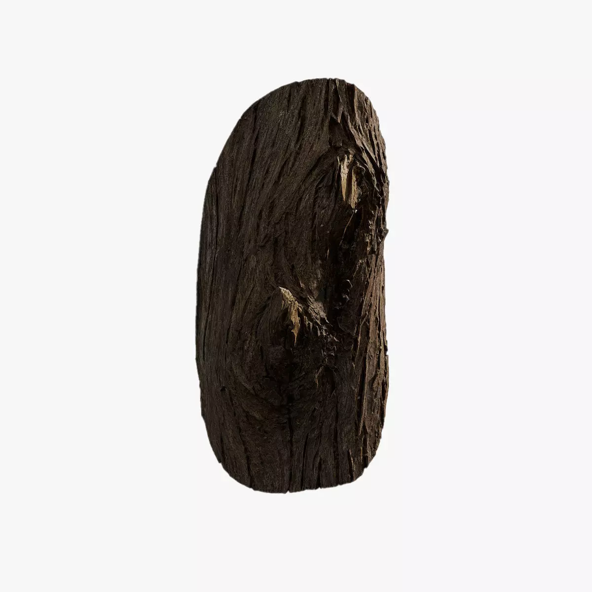 Anydrafts Taxodium ascendens Burl 01 Low-poly 3D model