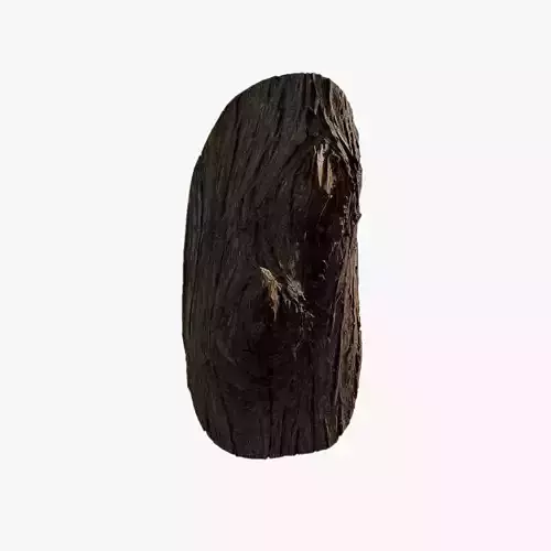 Anydrafts Taxodium ascendens Burl 01