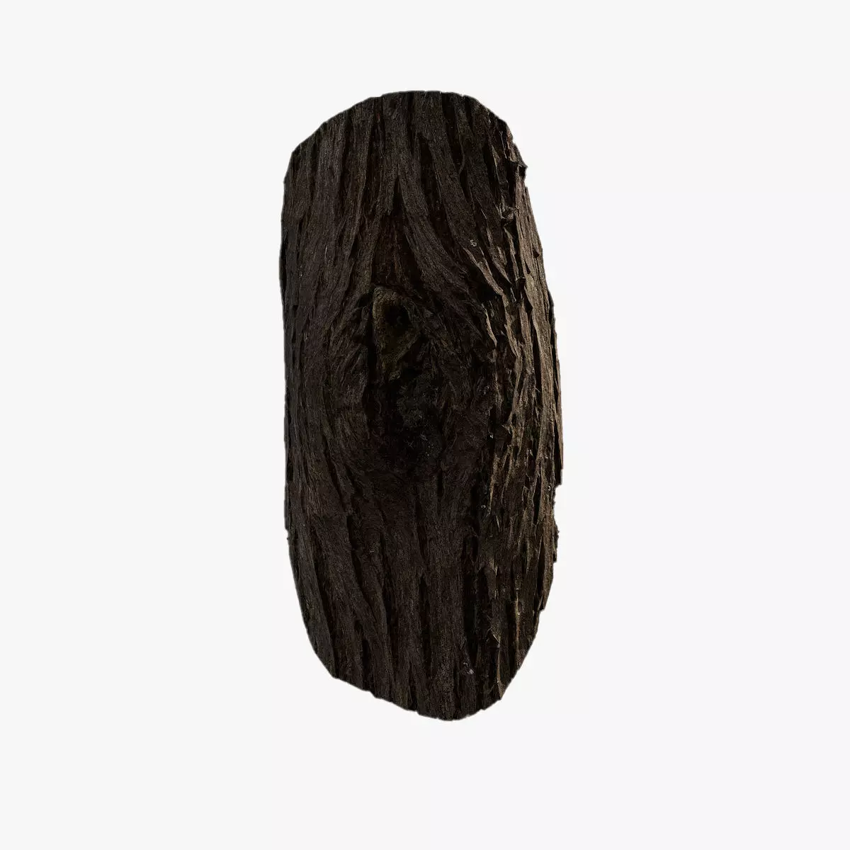 Anydrafts Taxodium ascendens Burl 02 Low-poly 3D model
