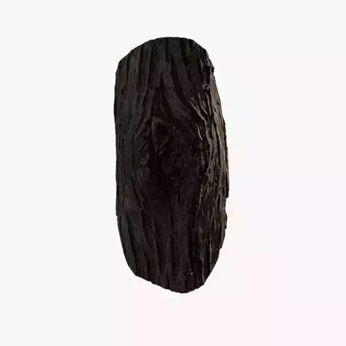 Anydrafts Taxodium ascendens Burl 02