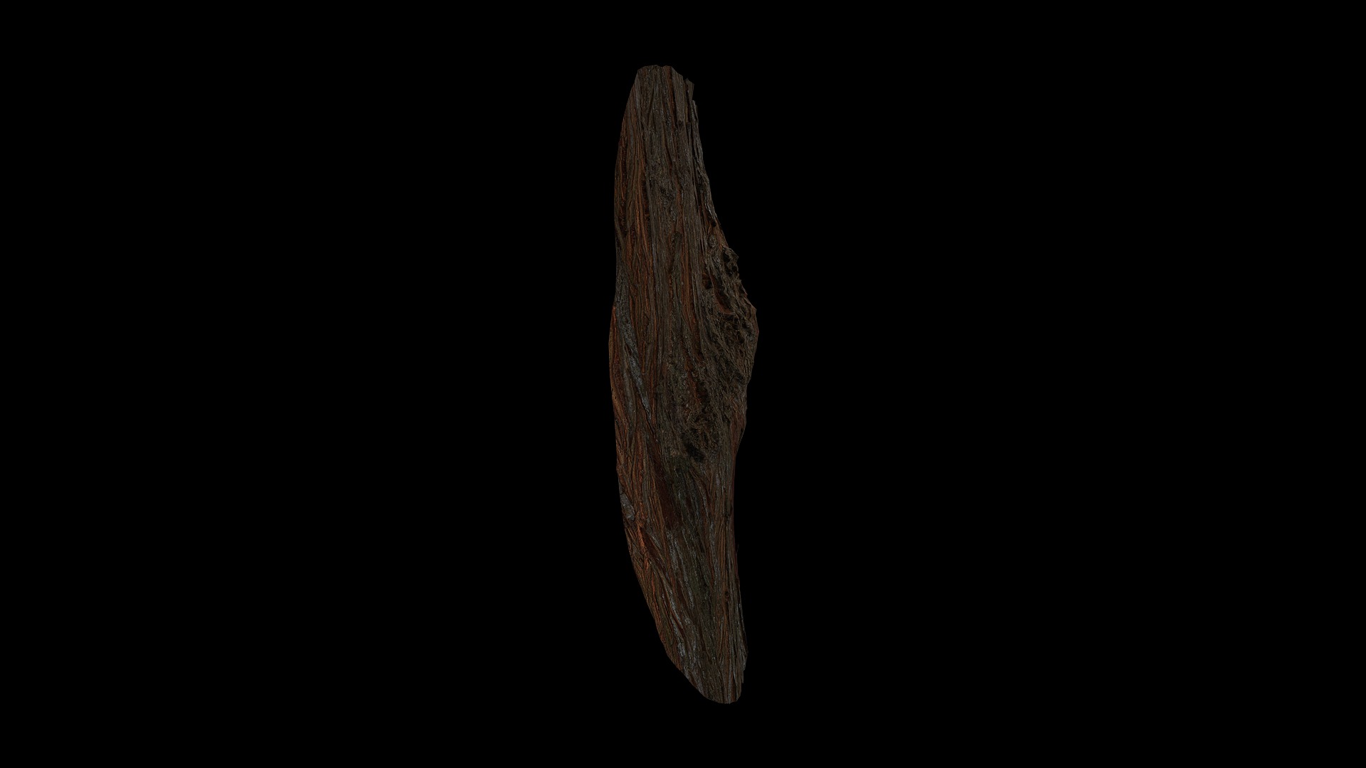 Anydrafts Taxodium ascendens Burl 04 Low-poly 3D model_7