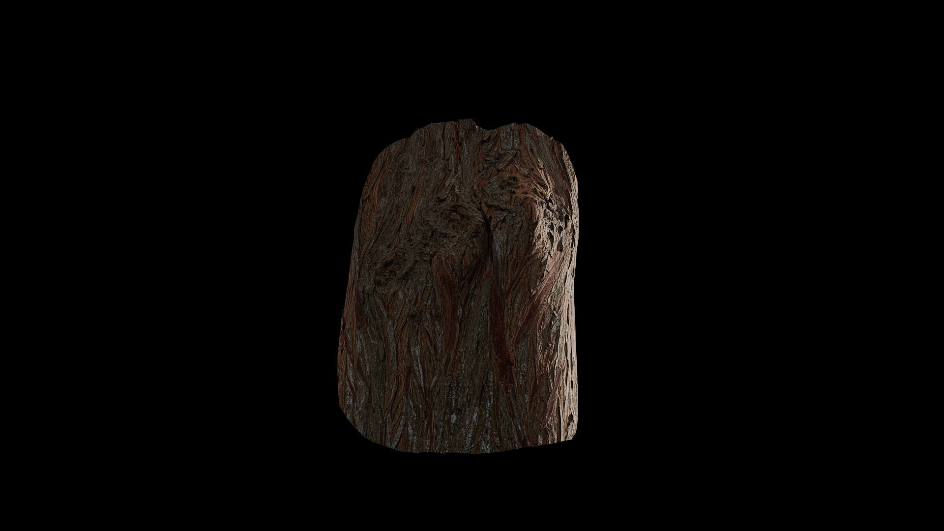 Anydrafts Taxodium ascendens Burl 04 Low-poly 3D model_5