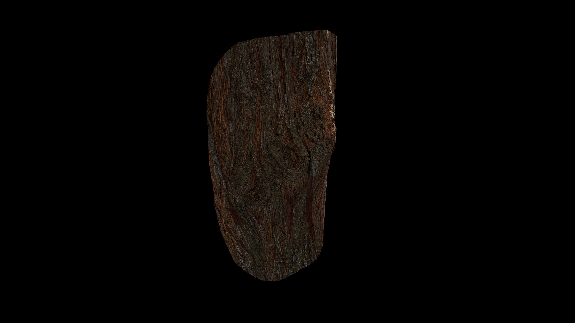 Anydrafts Taxodium ascendens Burl 04 Low-poly 3D model_8
