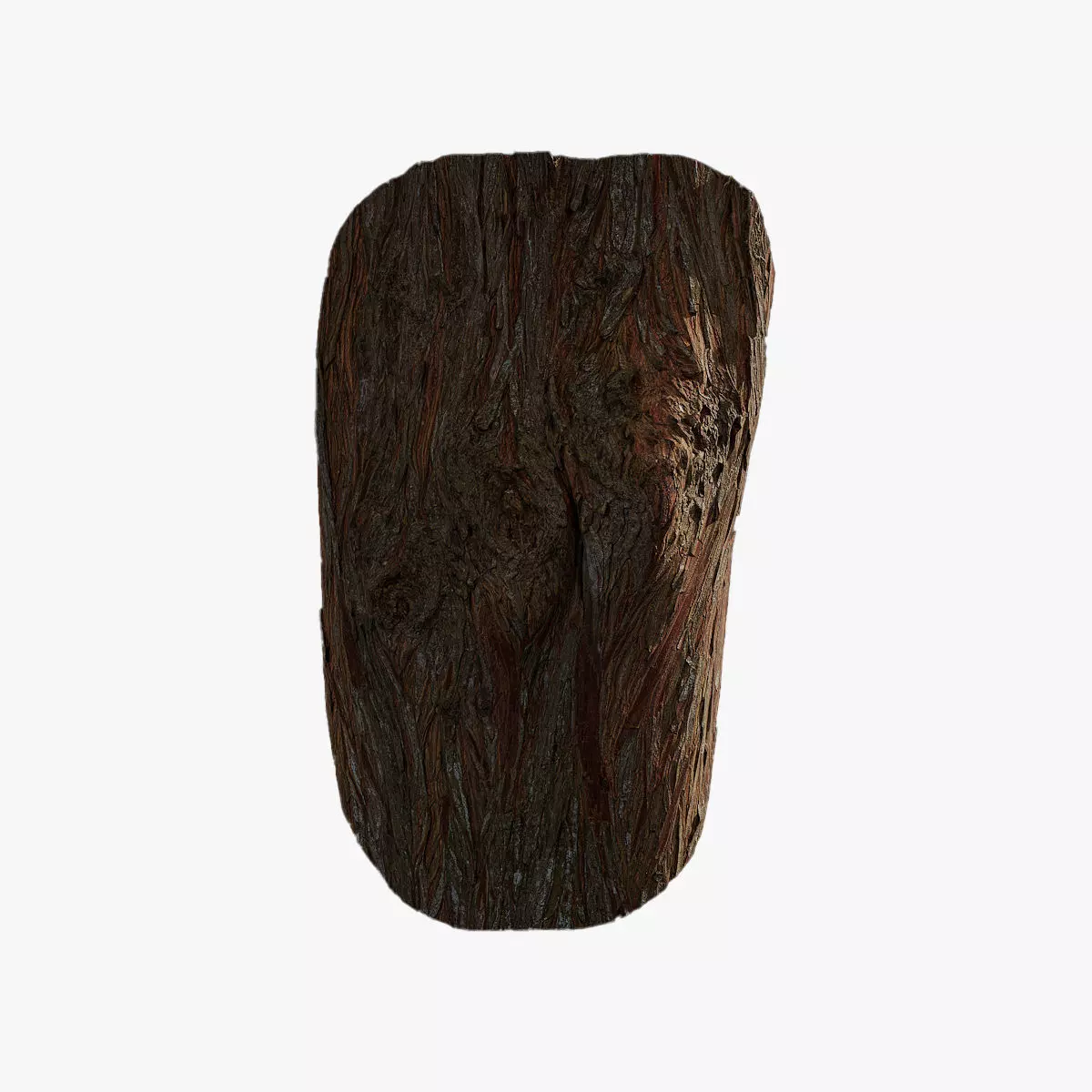 Anydrafts Taxodium ascendens Burl 04 Low-poly 3D model_0