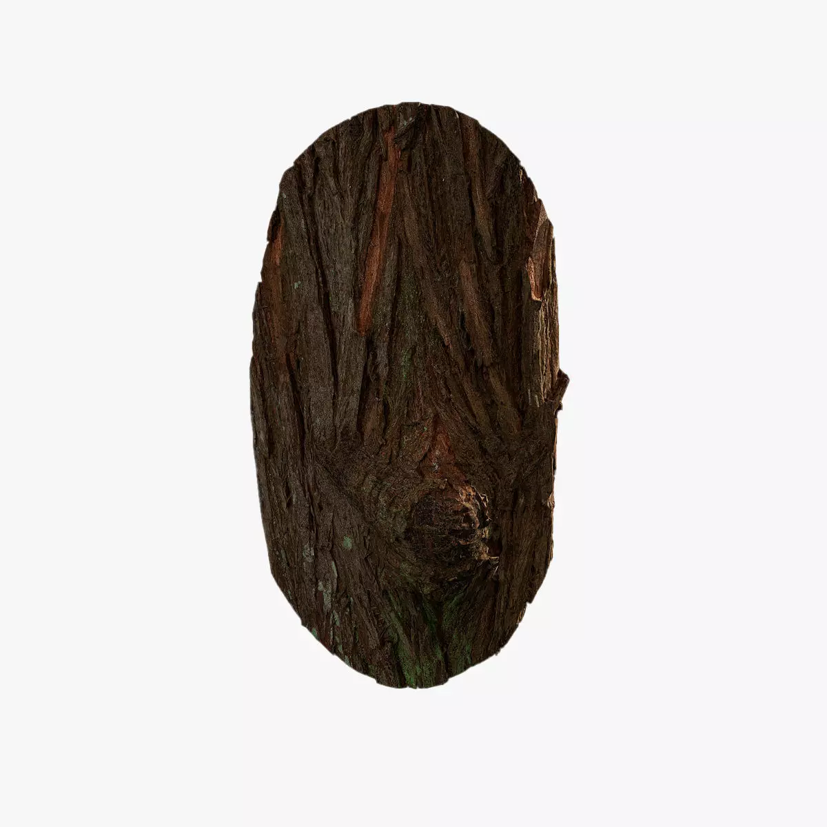 Anydrafts Taxodium ascendens Burl 05 Low-poly 3D model