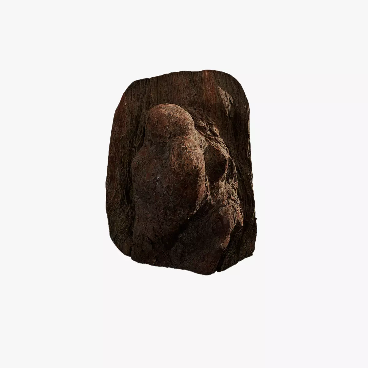 Anydrafts Taxodium ascendens Burl 06 Low-poly 3D model_0