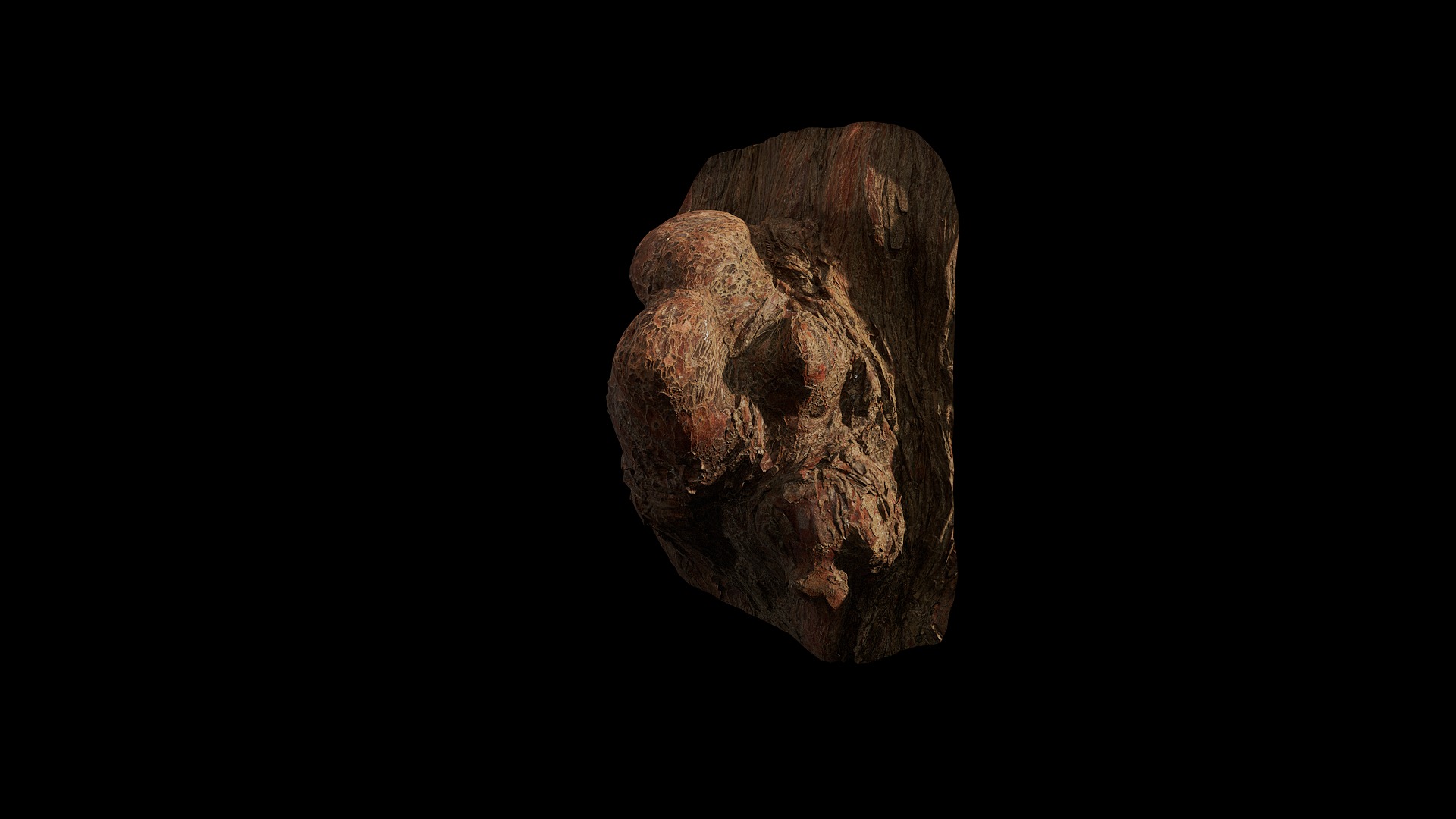 Anydrafts Taxodium ascendens Burl 06 Low-poly 3D model_4