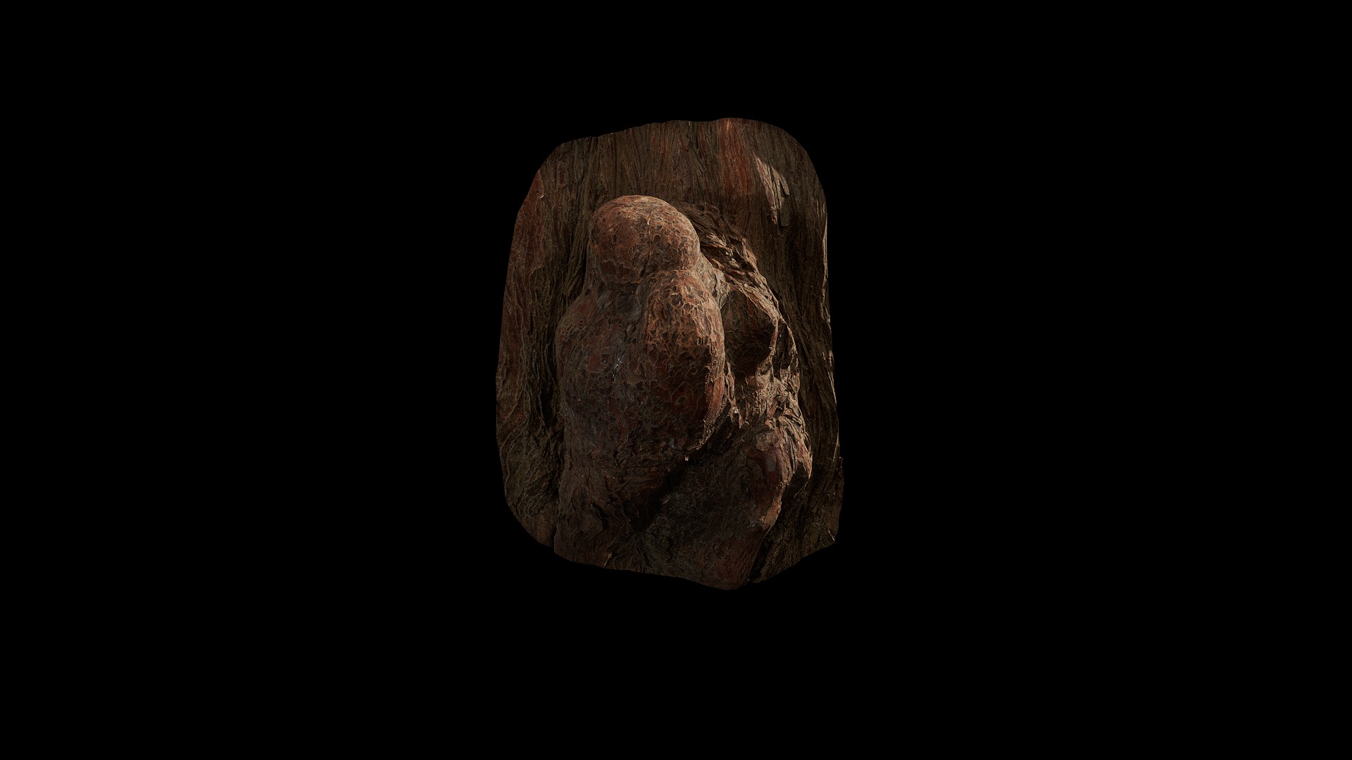 Anydrafts Taxodium ascendens Burl 06 Low-poly 3D model_2