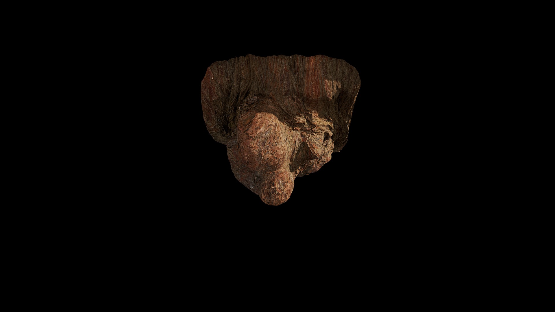 Anydrafts Taxodium ascendens Burl 06 Low-poly 3D model_6