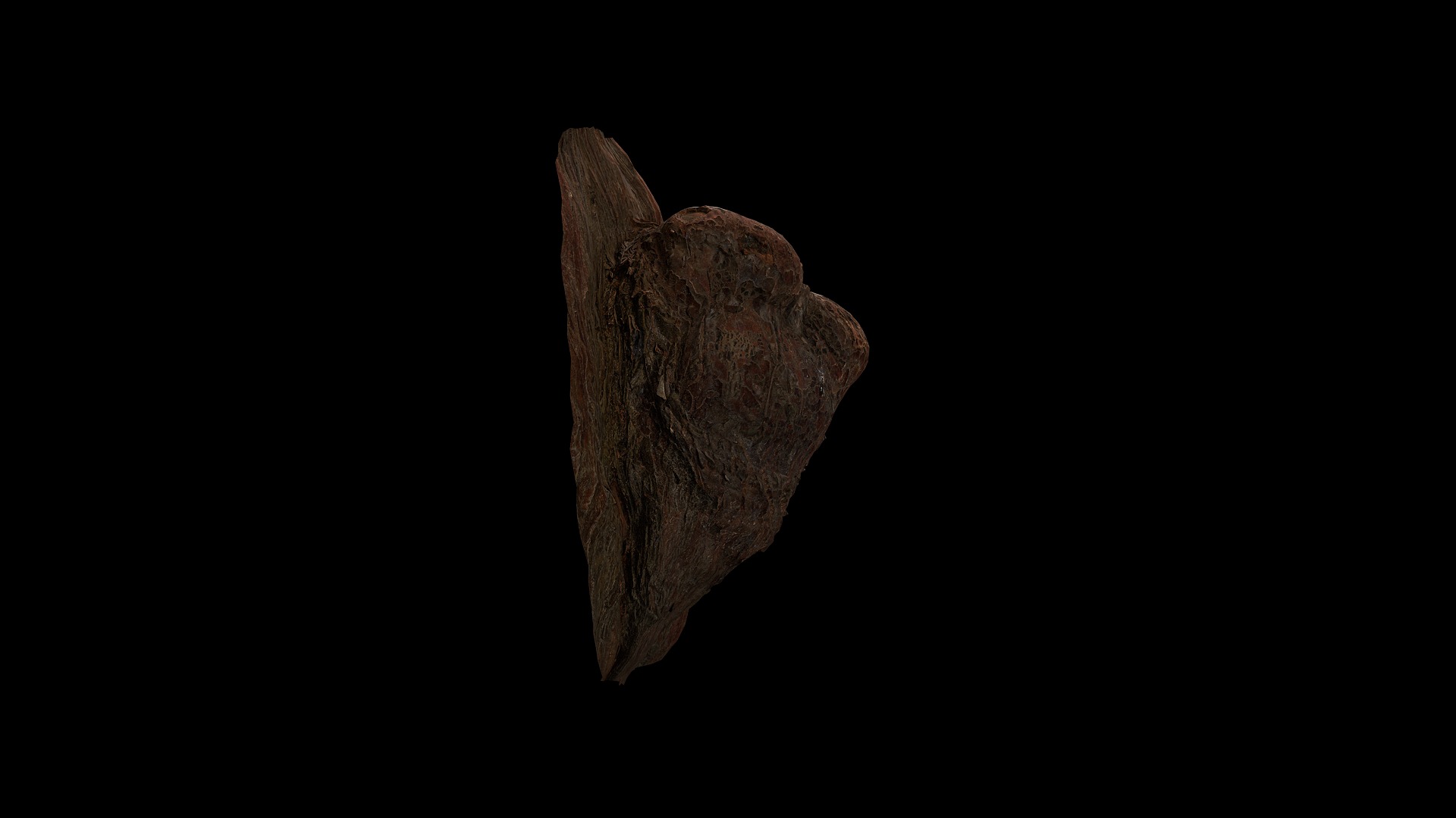 Anydrafts Taxodium ascendens Burl 06 Low-poly 3D model_7