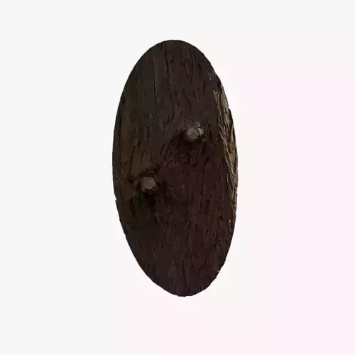 Anydrafts Taxodium ascendens Burl 07