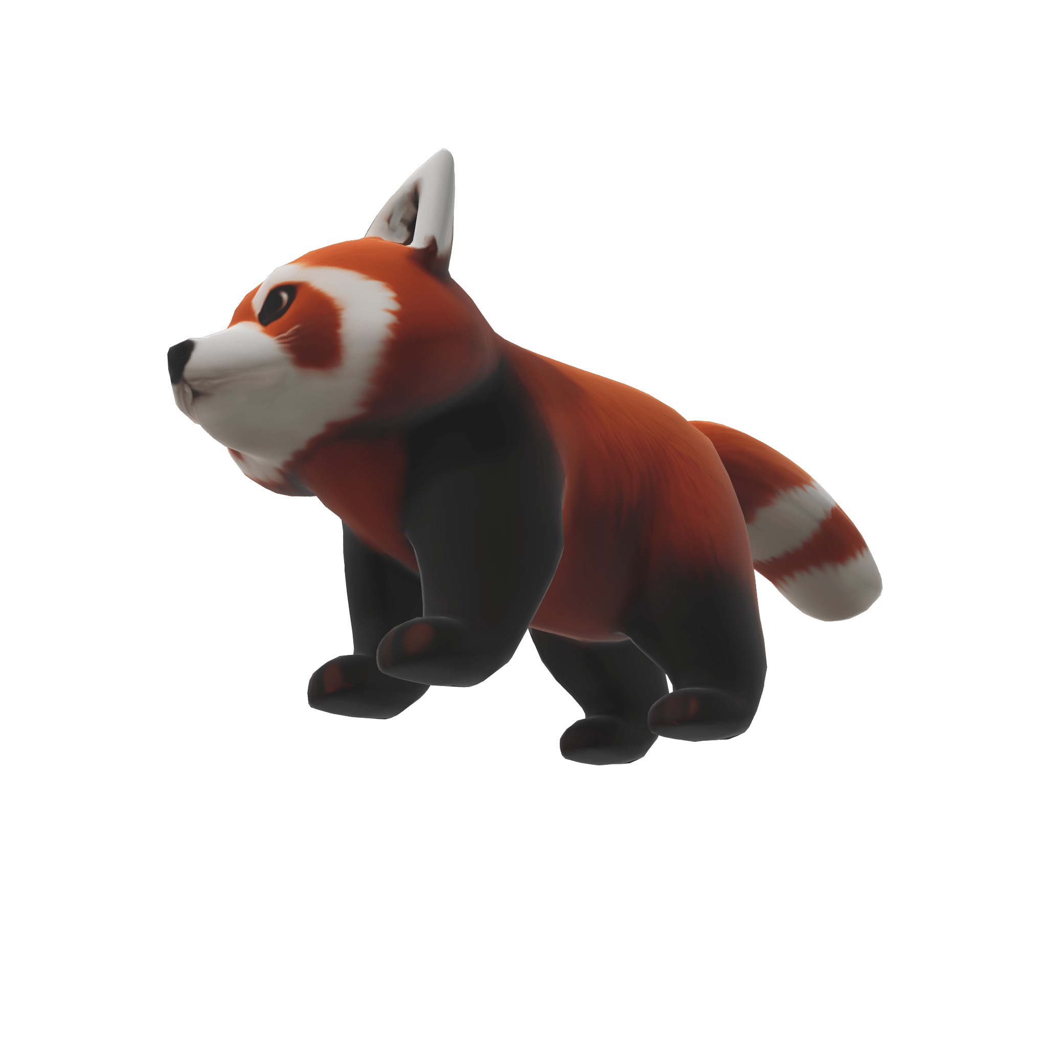 Playful Red Panda 3D model_5