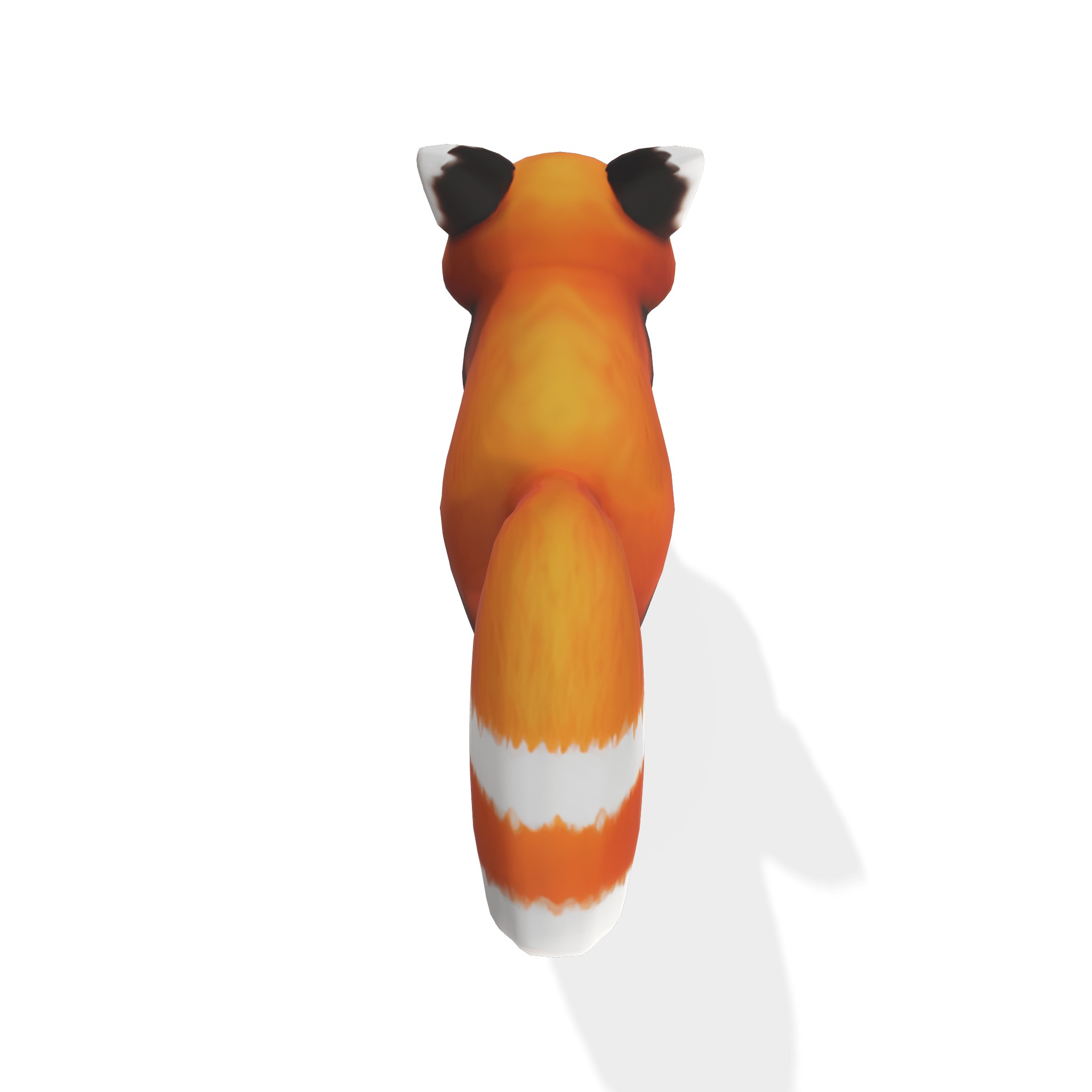 Playful Red Panda 3D model_4