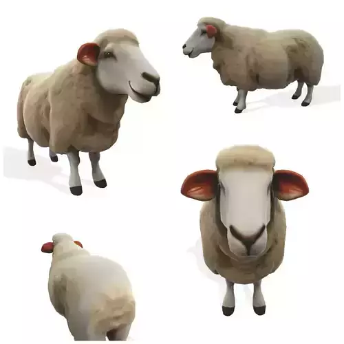 Woolly the Stylized Sheep 3D model