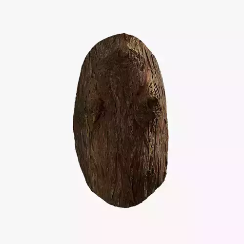 Anydrafts Taxodium ascendens Burl 08