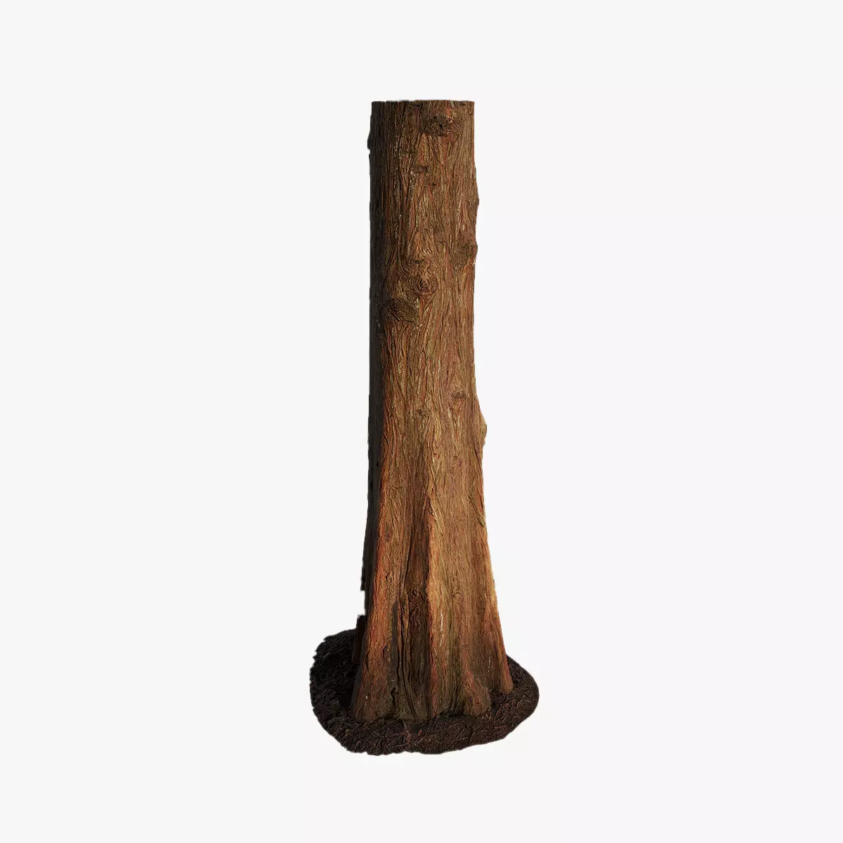 Anydrafts Taxodium ascendens Trunk 01 Low-poly 3D model