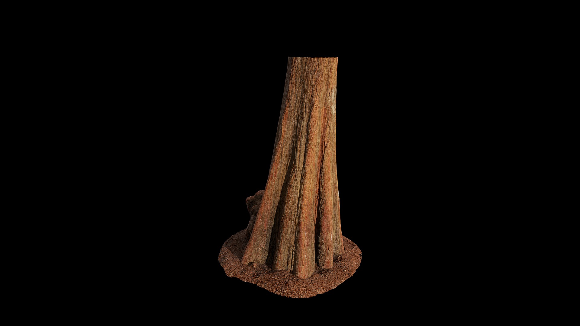 Anydrafts Taxodium ascendens Trunk 03 Low-poly 3D model_2