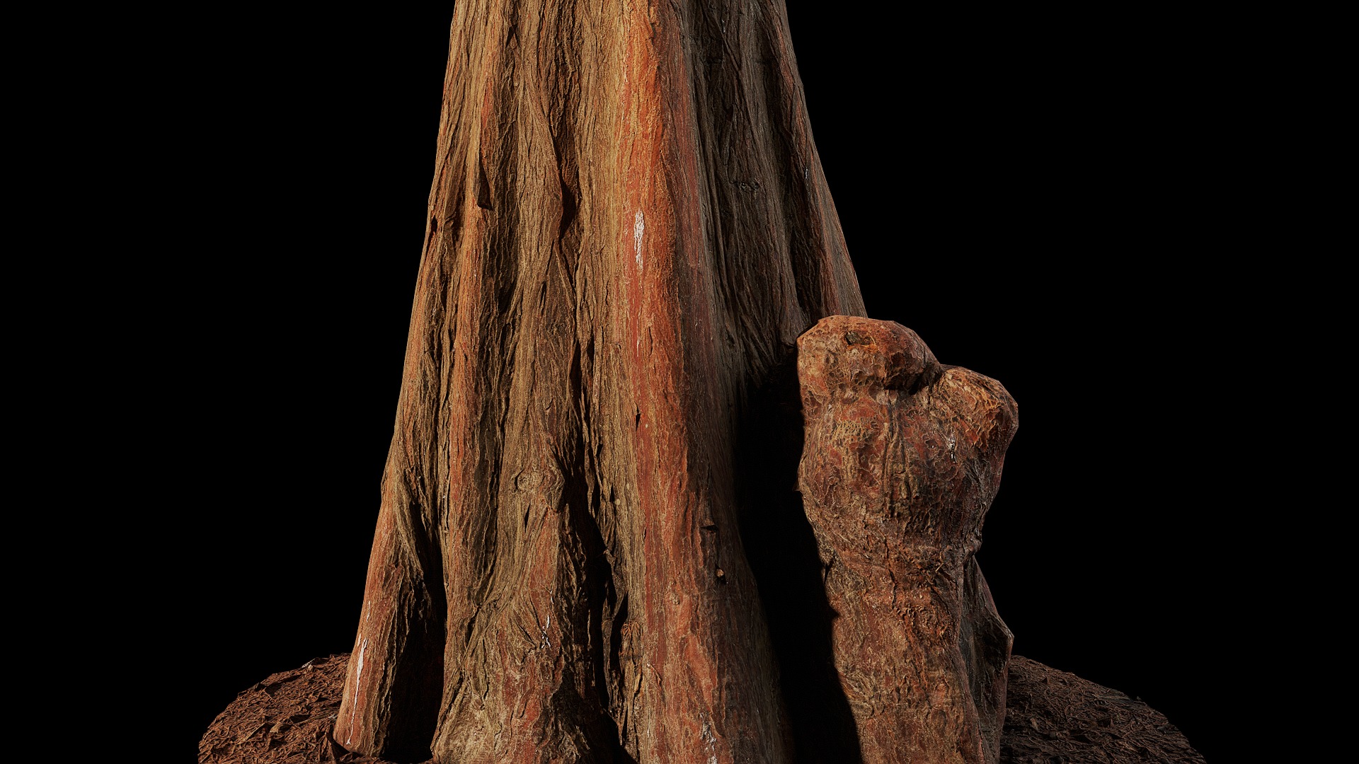 Anydrafts Taxodium ascendens Trunk 03 Low-poly 3D model_7