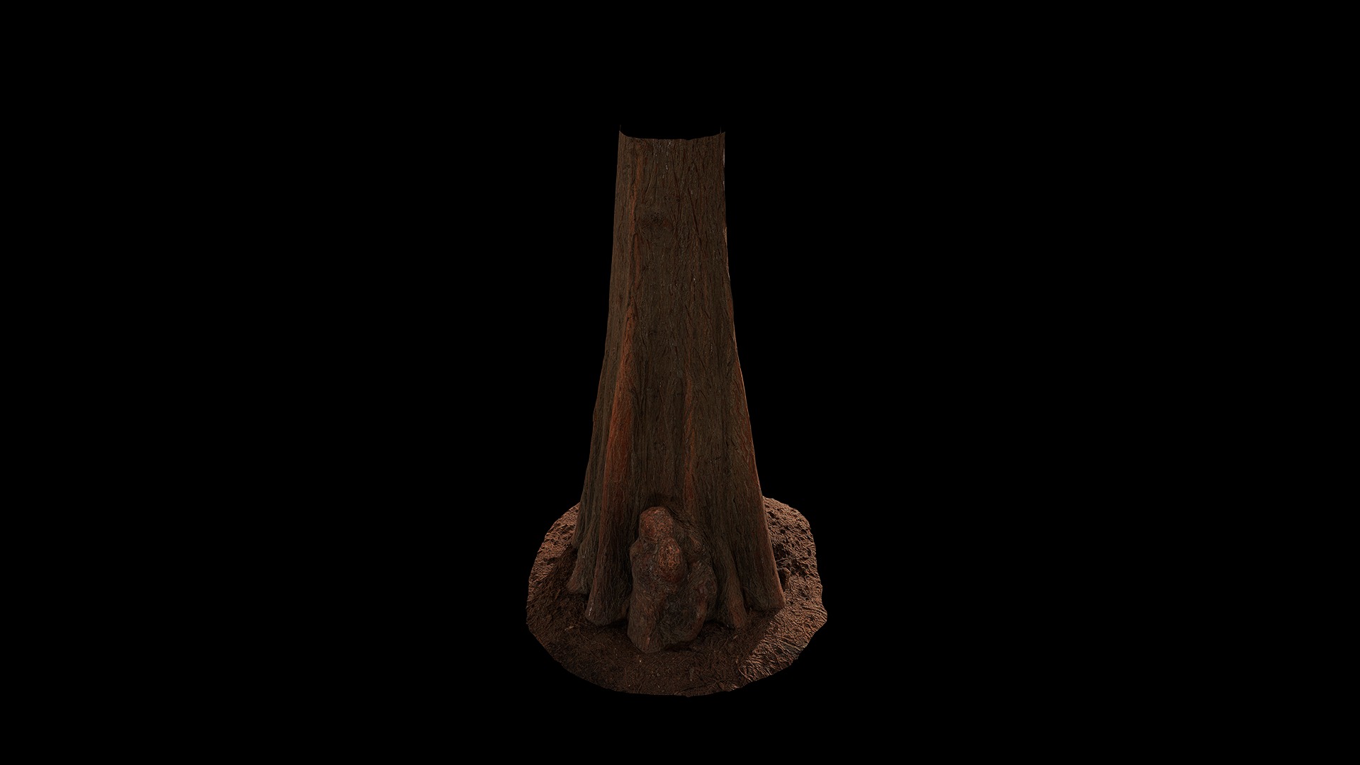 Anydrafts Taxodium ascendens Trunk 03 Low-poly 3D model_6