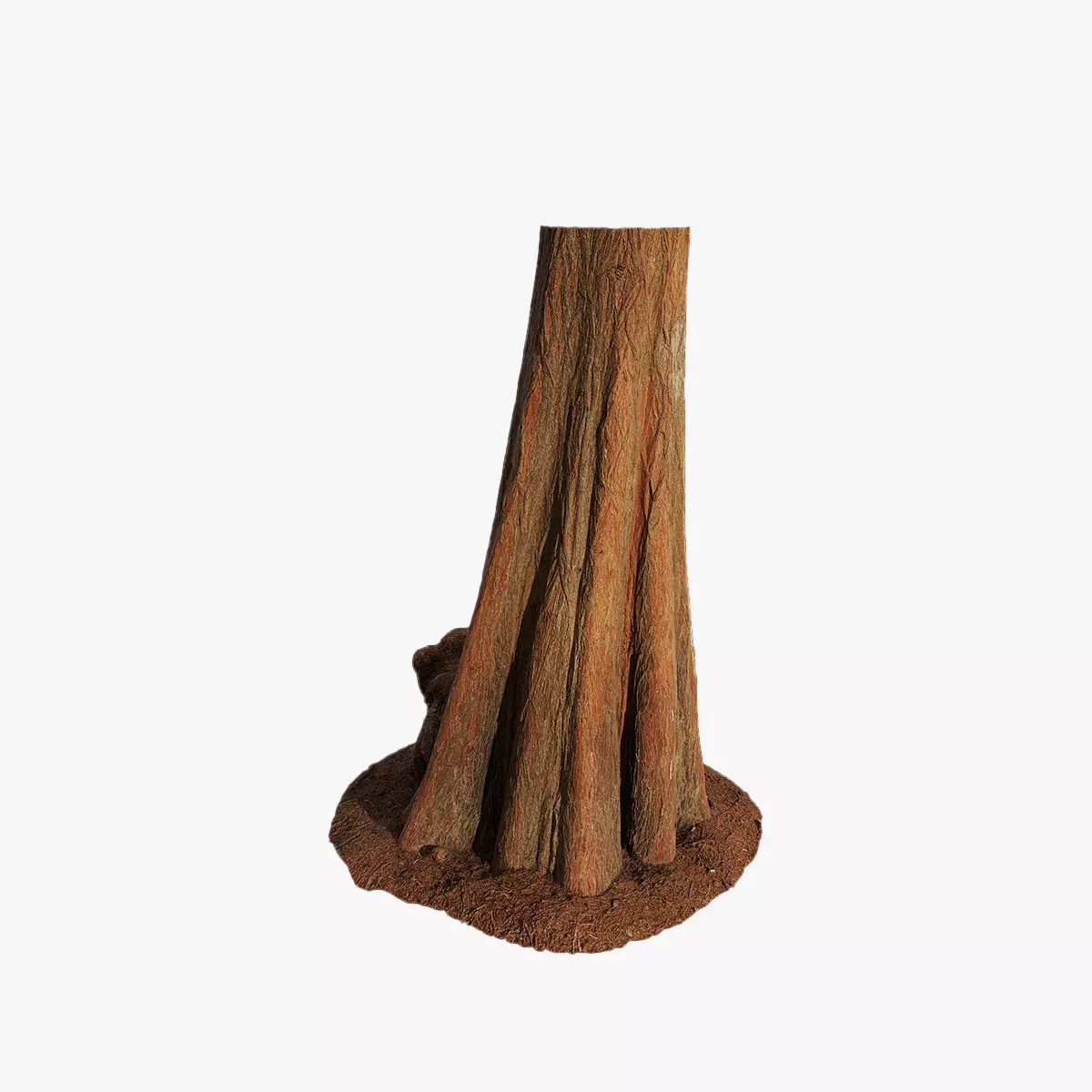 Anydrafts Taxodium ascendens Trunk 03 Low-poly 3D model_0
