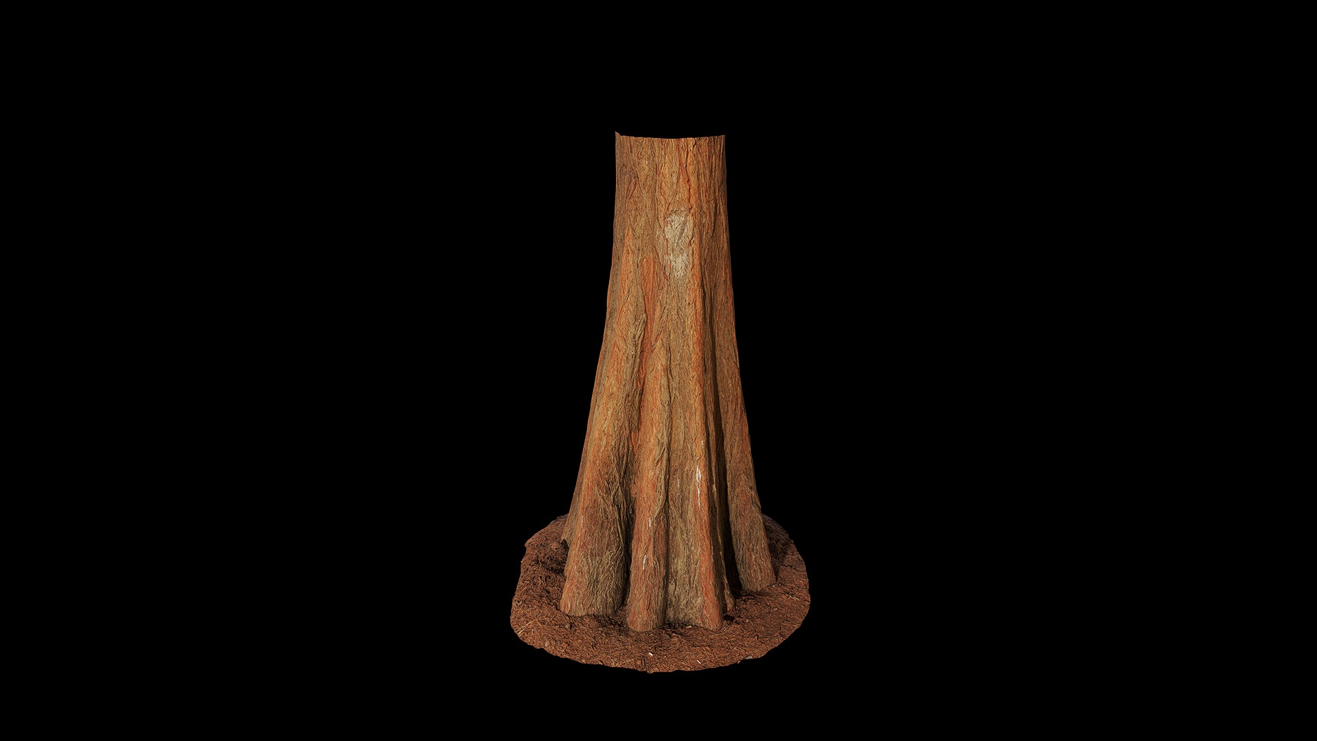 Anydrafts Taxodium ascendens Trunk 03 Low-poly 3D model_5