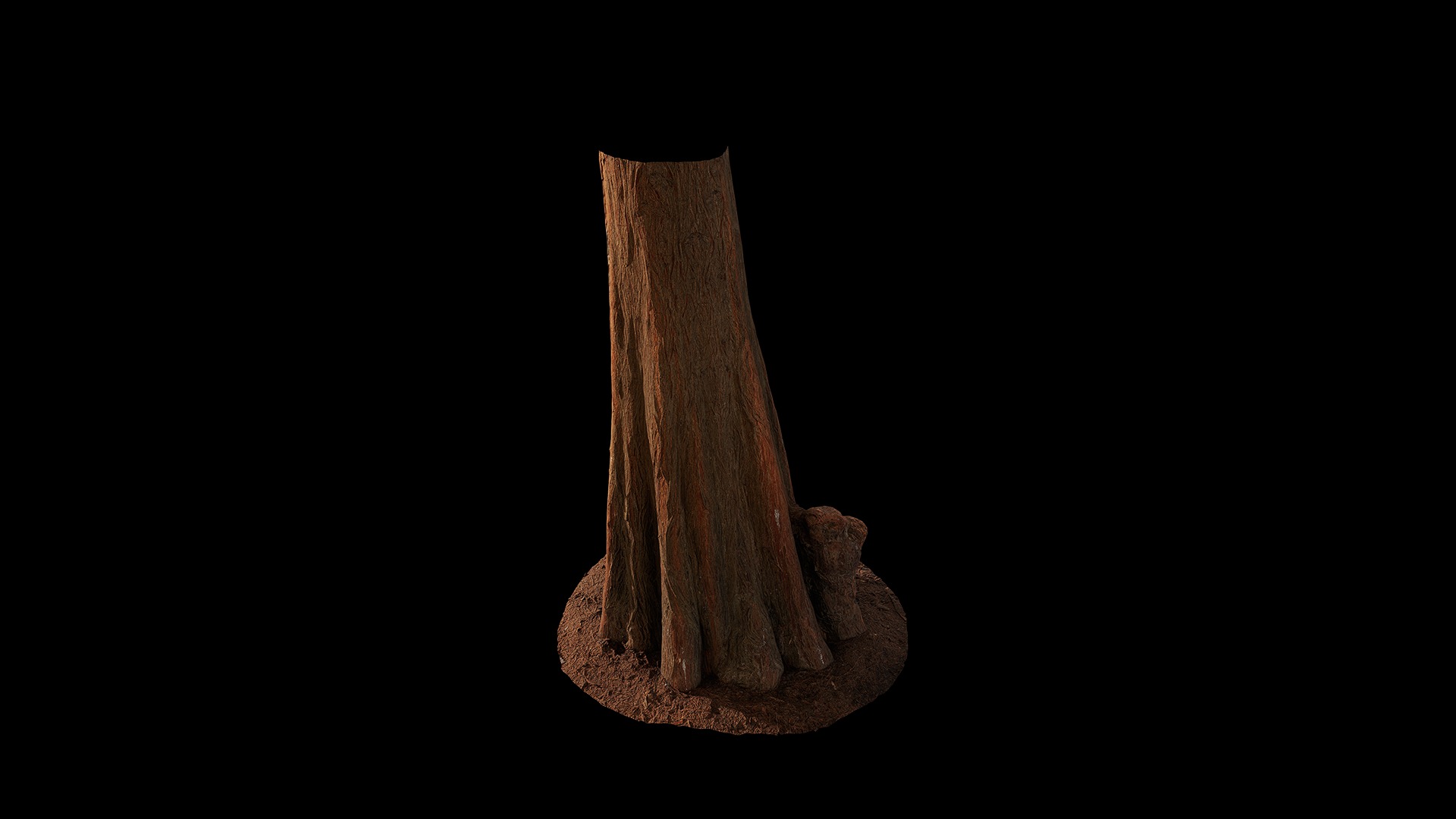 Anydrafts Taxodium ascendens Trunk 03 Low-poly 3D model_4