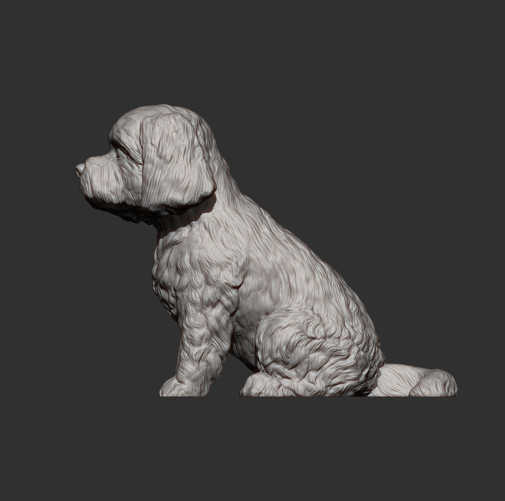 Maltese dog sitting 3D print model_11