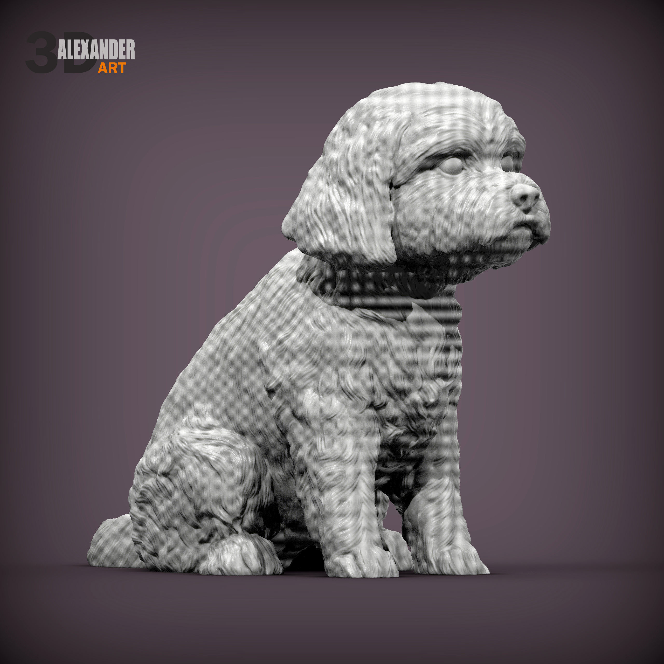 Maltese dog sitting 3D print model_2